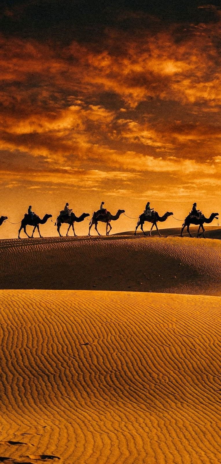 Caravan crossing the dunes at sunset