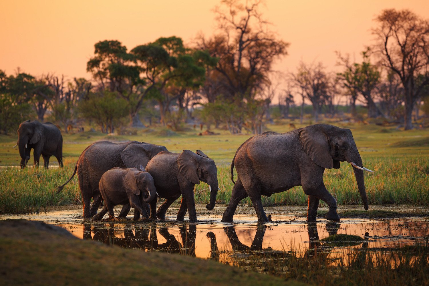 Africa